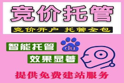 百度竞价托管公司案例：揭秘高效广告投放策略